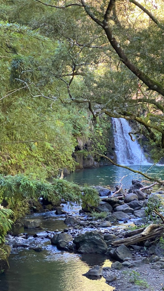 Waikamoi Stream