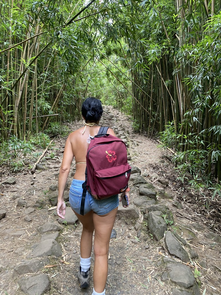 Bamboo Forest Hike